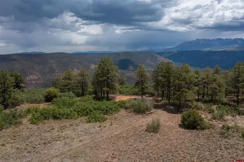 tbd Canyon Rim Loop, Placerville, CO 81430 photo 7