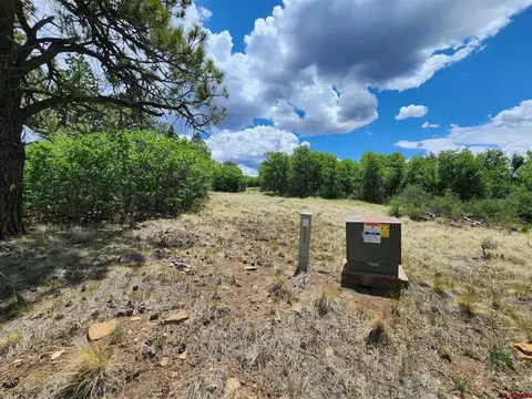 tbd Canyon Rim Loop, Placerville, CO 81430 photo 24