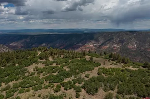 tbd Canyon Rim Loop, Placerville, CO 81430 photo 21