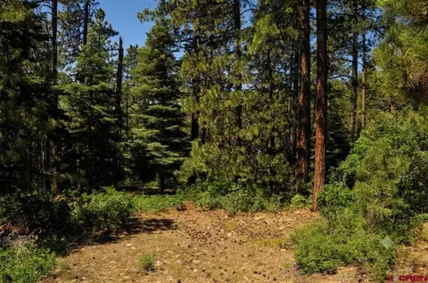 176 Big Timber Dr, Bayfield, CO 81122