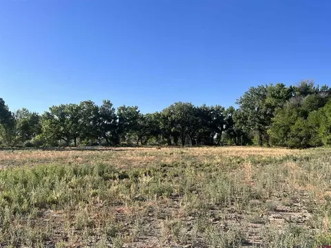 tbd 5725 Rd, Olathe, CO 81425 photo 9