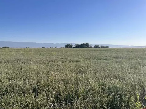tbd 5725 Rd, Olathe, CO 81425 photo 7