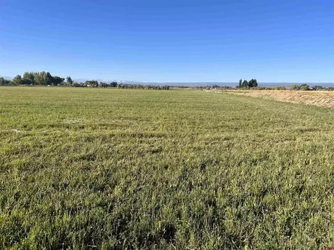 tbd 5725 Rd, Olathe, CO 81425 photo 6
