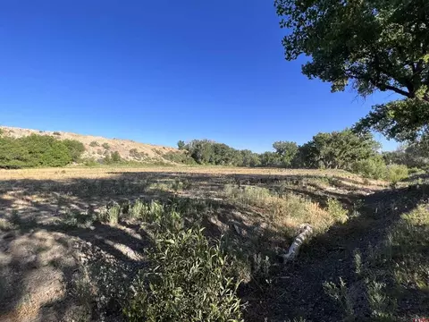 tbd 5725 Rd, Olathe, CO 81425 photo 10