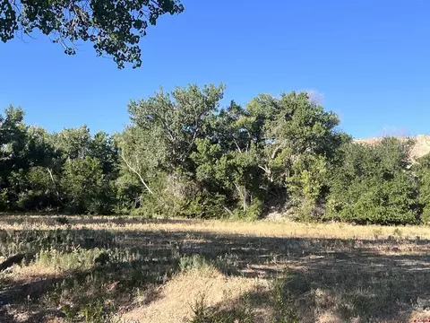 tbd 5725 Rd, Olathe, CO 81425 photo 15