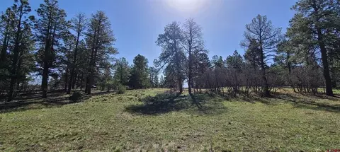 225 Badger Trl, Ridgway, CO 81432