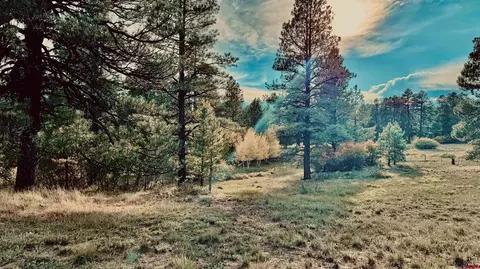 3898 N Pagosa Blvd, Pagosa Springs, CO 81147