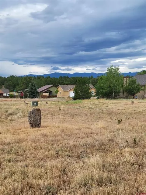 99 Fireside St, Pagosa Springs, CO 81147
