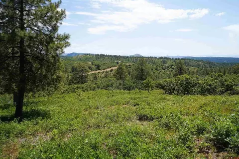 224 W Durango Rdg, Durango, CO 81301 photo 4