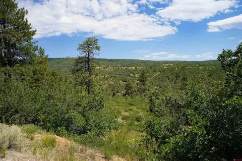 224 W Durango Rdg, Durango, CO 81301 photo 13