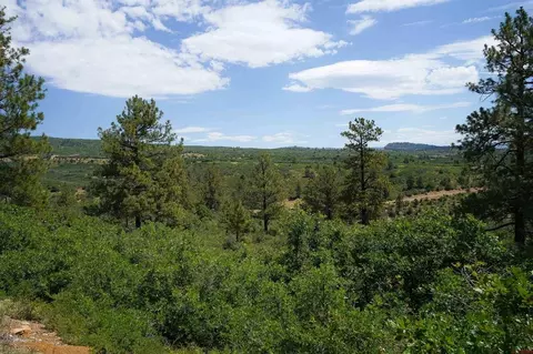 224 W Durango Rdg, Durango, CO 81301 photo 12