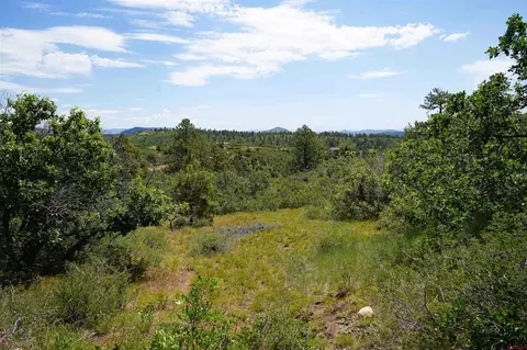224 W Durango Rdg, Durango, CO 81301 photo 11