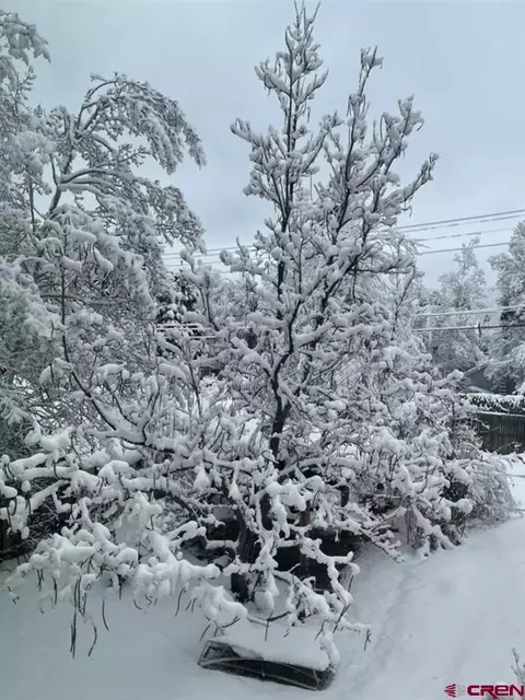 tbd Cr 124 Dr, Durango, CO 81301
