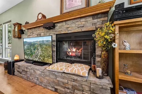 Living - 40 Peach Tree Pl, Durango, CO 81301 photo 4 of 4