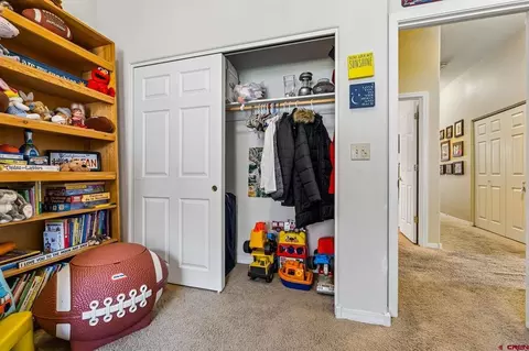 Other - 40 Peach Tree Pl, Durango, CO 81301 photo 4 of 10