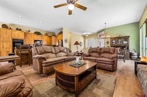 Living - 40 Peach Tree Pl, Durango, CO 81301 photo 3 of 4