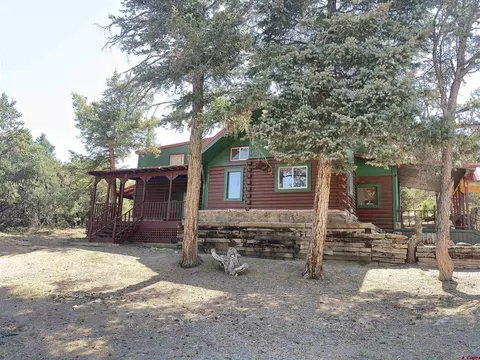 625 Bear Creek Rd, South Fork, CO 81154
