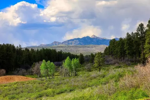 701 Piney Pl, Pagosa Springs, CO 81147