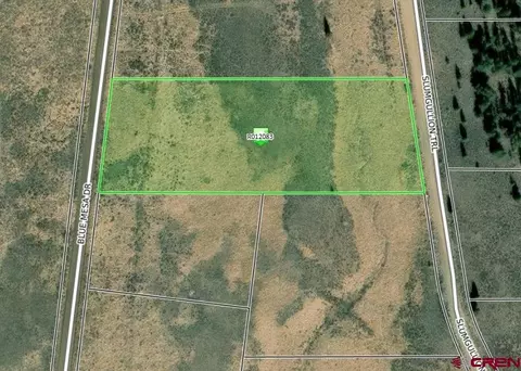 1411 Slumgullion Trl, Powderhorn, CO 81243
