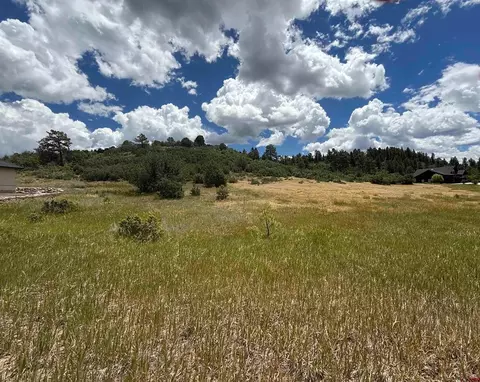 213 Dylan Dr, Pagosa Springs, CO 81147