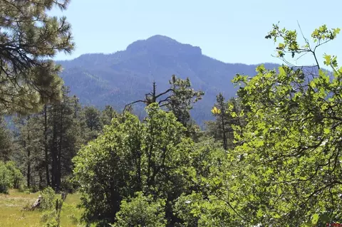 1422 Needles View Pl, Pagosa Springs, CO 81147