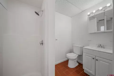 Bath - 1076 Animas View Dr, Durango, CO 81301 photo 3 of 3