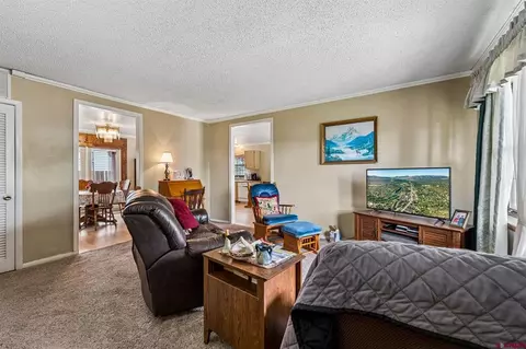 Living - 200 Romero Ave, Ignacio, CO 81137 photo 1 of 3