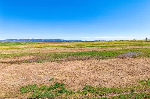 3130 County Road 301, Durango, CO 81303 photo 24