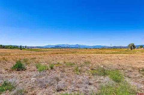 3130 County Road 301, Durango, CO 81303 photo 13