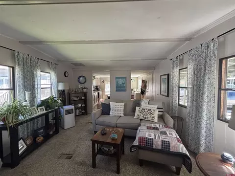 Living - 485 Florida Rd #B19, Durango, CO 81301 photo 4 of 6