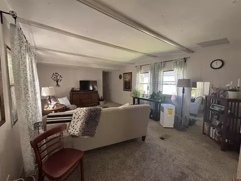 Living - 485 Florida Rd #B19, Durango, CO 81301 photo 5 of 6