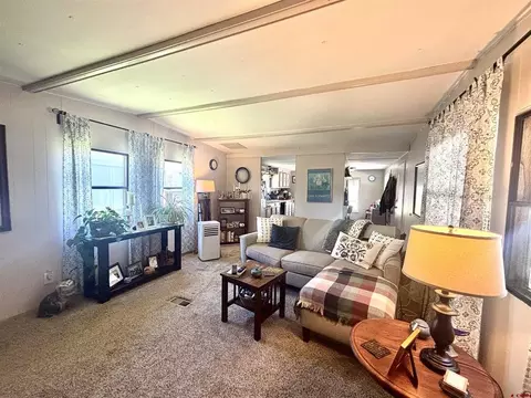 Living - 485 Florida Rd #B19, Durango, CO 81301 photo 5 of 5