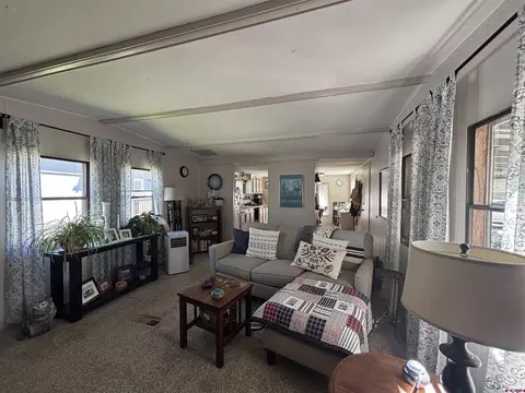 Living - 485 Florida Rd #B19, Durango, CO 81301 photo 3 of 6