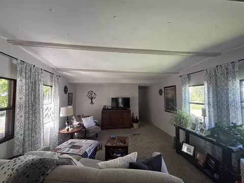 Living - 485 Florida Rd #B19, Durango, CO 81301 photo 6 of 6