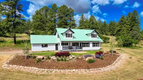 469 Buck Dr, Pagosa Springs, CO 81147
