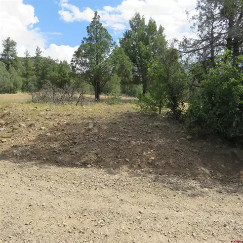 147 Calderwood Pl, Pagosa Springs, CO 81147