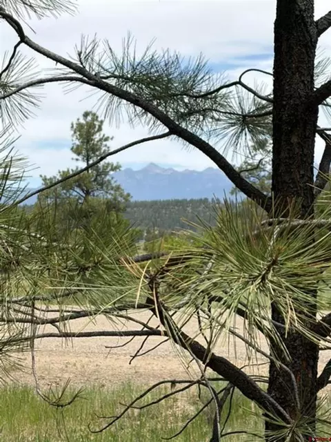 2321 Loma Linda Dr, Pagosa Springs, CO 81147