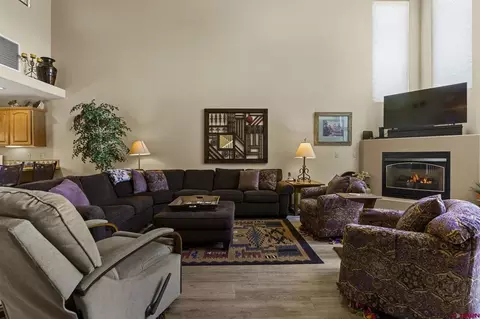 Living - 210 Cypress Ct, Durango, CO 81301 photo 5 of 6