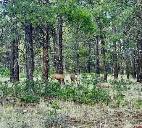 1523 W View Rd, Pagosa Springs, CO 81147