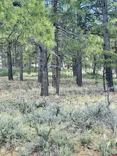 1627 W View Rd, Pagosa Springs, CO 81147
