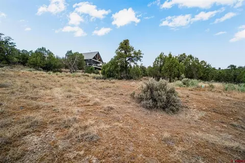 217 Rustic Ridge Rd, Ignacio, CO 81137 photo 3