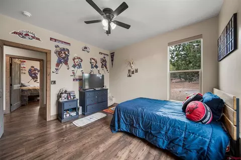 217 Rustic Ridge Rd, Ignacio, CO 81137 photo 22