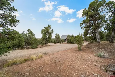217 Rustic Ridge Rd, Ignacio, CO 81137 photo 36