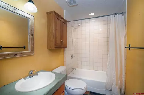454 Silverglance Way, Rico, CO 81332 photo 24