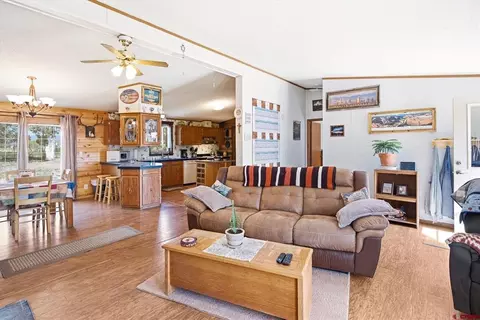 Living - 11275 S Us Highway 550, Durango, CO 81303 photo 3 of 3
