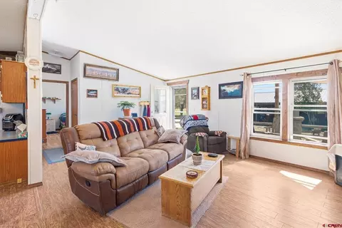 Living - 11275 S Us Highway 550, Durango, CO 81303 photo 2 of 3