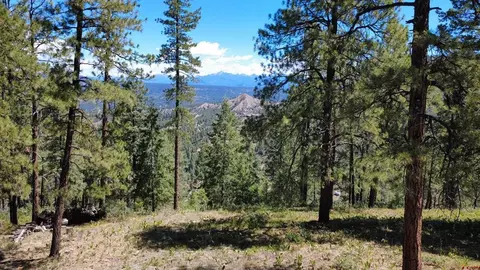 1203 Gun Barrel Rd, Pagosa Springs, CO 81147