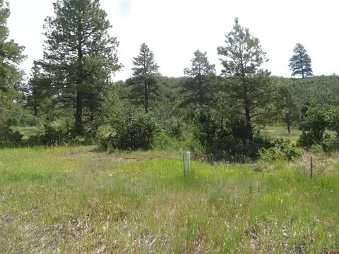 587 Santino Pl, Pagosa Springs, CO 81147