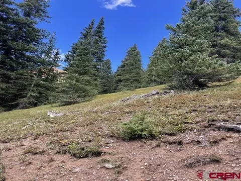 tbd Cr 35, Silverton, CO 81433 photo 7