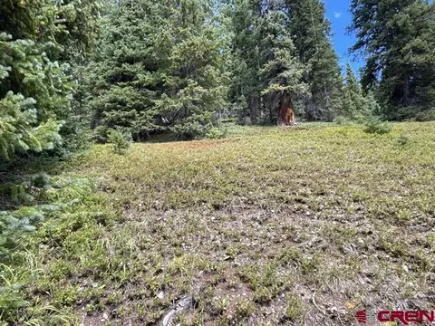 tbd Cr 35, Silverton, CO 81433 photo 6